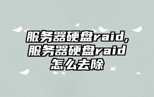 服務(wù)器硬盤raid,服務(wù)器硬盤raid怎么去除