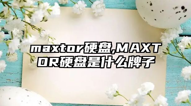 maxtor硬盤,MAXTOR硬盤是什么牌子