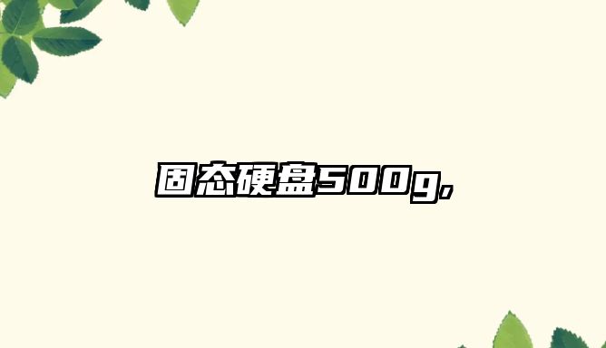 固態(tài)硬盤500g,