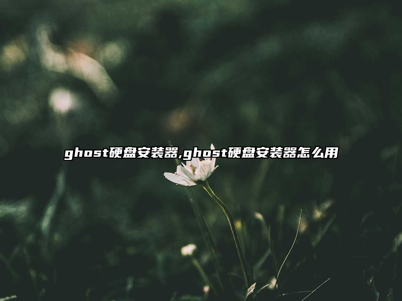 ghost硬盤(pán)安裝器,ghost硬盤(pán)安裝器怎么用