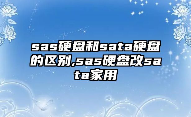 sas硬盤和sata硬盤的區(qū)別,sas硬盤改sata家用