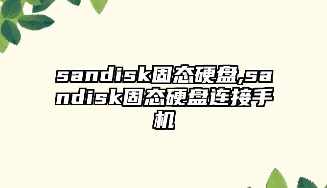 sandisk固態(tài)硬盤,sandisk固態(tài)硬盤連接手機