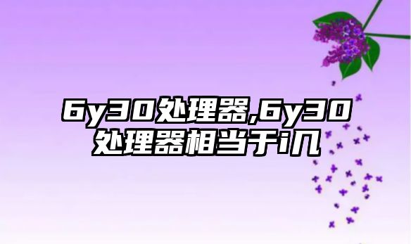 6y30處理器,6y30處理器相當(dāng)于i幾